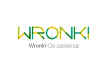 Gmina Wronki
